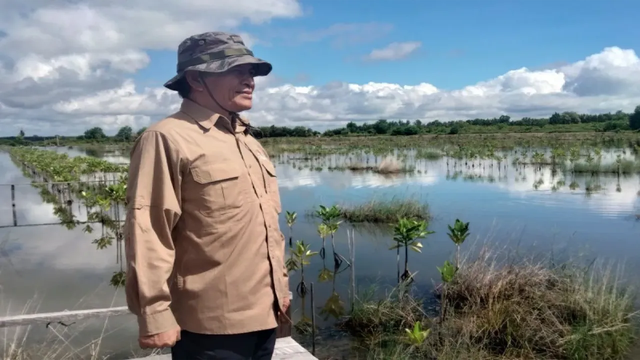 Berkah Mangrove BRGM, Menjadi Ikut Guna Kalimantan Utara sebagai Ikon Mangrove Indonesia